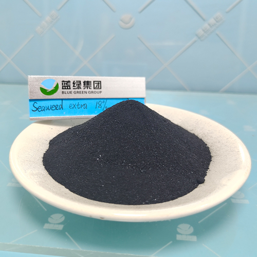 Alga BG21 (Seaweed Extract Powder/Flake)